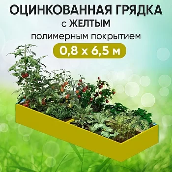 Грядка желтая (0,8 х 6,5)